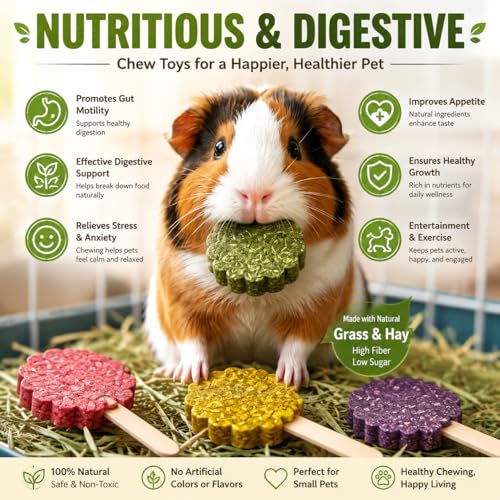 YKD Natural Timothy Hay Cookie Sticks Chew Toys for Teeth | Chew Toy Refill, Bunny Chew Treats for Rabbits, Guinea Pigs, Chinchillas (Multicolour - Mixed) - color: Multicolour - Mixed