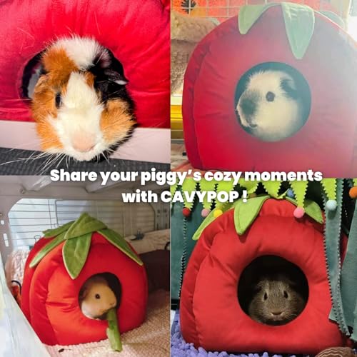Guinea Pig Hideout Bed, Tomato-Shaped Bottomless Plush House | Cute tomato design. Bottomless easy-clean structure. Thick plush comfort. Cozy hideout for guinea pigs
