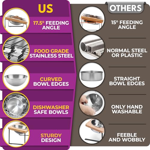 Raised cat Bowls for Indoor Cats by WinTruffles, Elevated cat Bowls, Tilted and Elevated Anti Vomiting Cat Dishes for Food and Water, Set of 2 Stainless Steel Bowl - color: 2 bowls