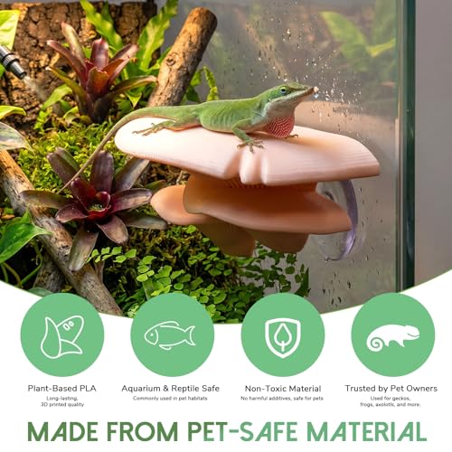 Mushroom Decor Climbing Hold Reptile Tank Pet-Safe Bearded Dragon | Tank Accessories, Climbing Rest Platform Habitat, Concealed Jumping Spider Habitat, Gecko Lizards Leopard, Turtle Hermit Crab
