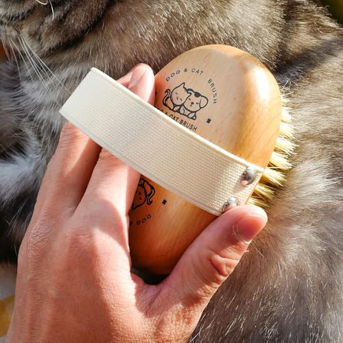 Soft Dog Brush, Bristle Brush for Dog Grooming | Dog Palm Brush, Gentle Grooming, For Small & Large Dogs, Wood handle