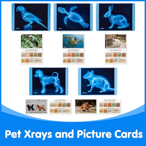 Pet Series Animal Xrays for Kids - Light Table Manipulatives | Veterinarian Play Set & Dramatic Play Vet Clinic - style: Pet Series