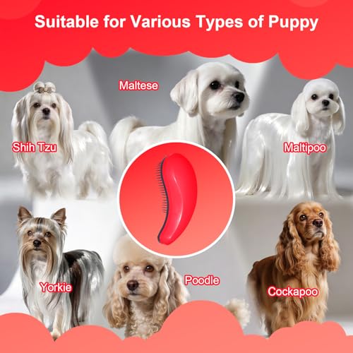Small Dog Brush, Skin-friendly Soft Bristles (Rose Red) | Puppy Hair Brush, Massage and Bath Supplies, Pet Grooming Tool for Teddy, Yorkies, Maltese, Shih Tzu, Chihuahua - color: Rose Red