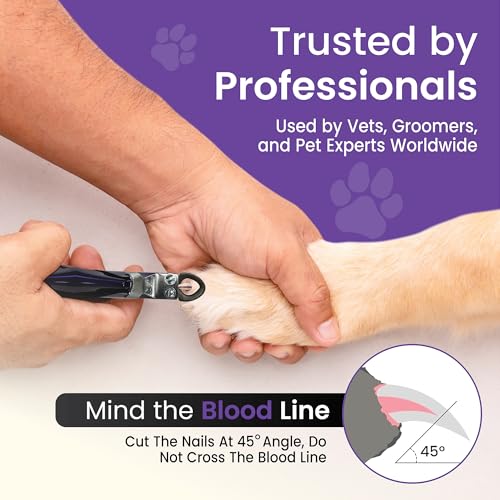 Candy Series Dog Nail Clippers for Small to Medium Dogs – USA-Made Professional Guillotine Pet Nail Trimmer with Replaceable Blade System - color: Candy Purple, size: Small/Medium