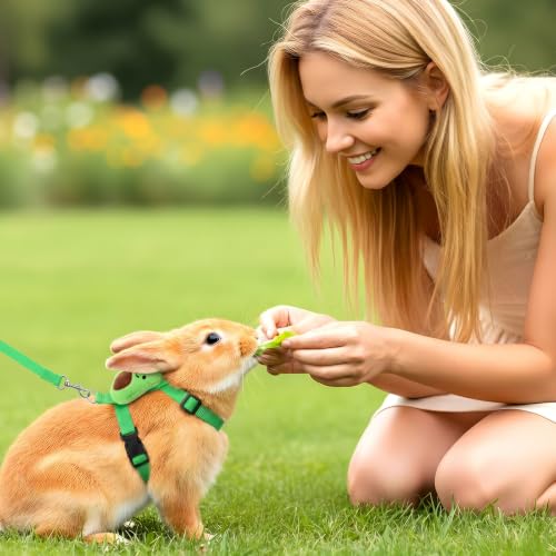 2PCS Bunny Harness and Leash Guinea Pig Leash | Kitten Harness and Leash Set for Guinea Pig Ferret Cat Puppy Duck Small Pets Outdoor Walking - style: B