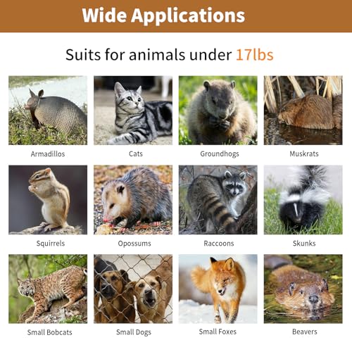 32" Heavy-Duty Humane Animal Trap Cage | Heavy-duty folding animal trap, suitable for stray cats, raccoons, and rabbits weighing up to 17 pounds