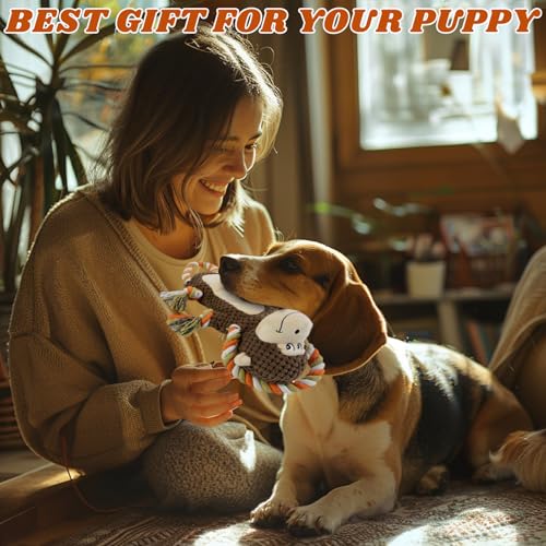 Squeaky Monkey Dog Toy for Large Dogs | large dog toys for big dogs Stuffed Plush, Crinkle Paper, Interactive puppy monkey toy, Rope Toy, For Small, Middle, - style: Monkey Shape