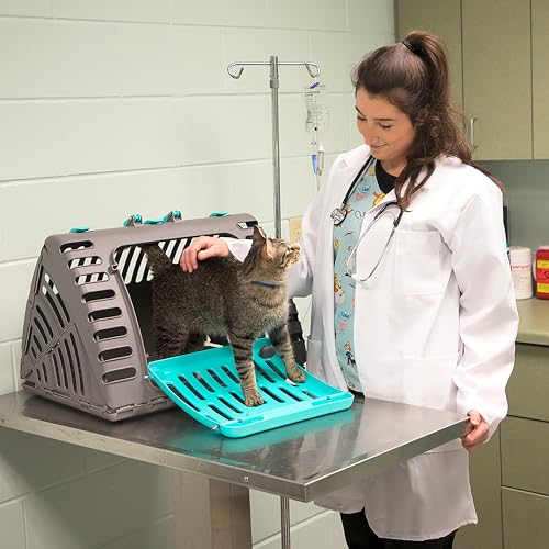 SportPet Designs Foldable Travel Cat Carrier - Front Door Plastic Collapsible Carrier, Gray and Tan, Medium (Pack of 1) - color: A) Large Carrier (Tan & Gray)
