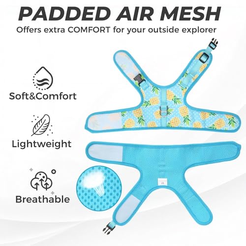 BINGPET Cat Harness and Leash Set, Escape Proof and Adjustable, Small | Step-in Vest, Lightweight Soft Breathable Mesh, Hook & Loop, Easy Control for Kittens & Small Cats Walking Travel - color: Pineapple, size: Small