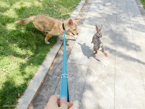 5FT Bungee Dog Leash Shock Absorbing Reflective Nylon Lead 2cm Wide | Soft Handle- Lightweight- Anti-Pull Training for Small/ Medium Dogs- 6 Colors (purple) - color: Purple