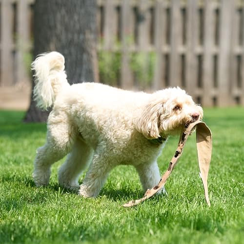 SPOT Skinneeez Leather Snake – 36" Stuffing-Free Dog Toy with Real Leather & 5 Squeakers, Tug Toy for Light to Moderate Chewers, Ideal for Large & XL Dogs - size: 36 Inch