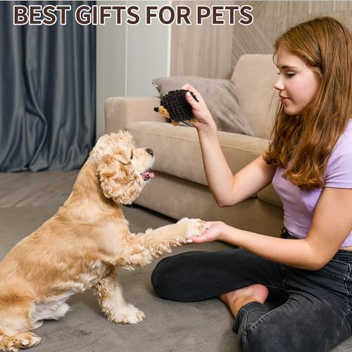 2-in-1 No-Stuffing Hedgehog Dog Toys 3 PCS, Squeaky Ball for Throwing Play | Interactive Chewing Toys for Medium and Small Pets, Durable Plush for Companion, Keep Puppy Busy, Holiday Gift - style: Hedgehog dog toys