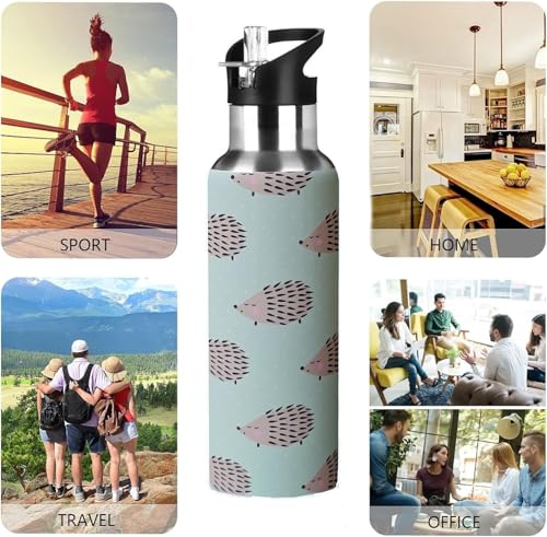 Kids Water Bottle with Straw,Hedgehog Bottle Vacuum Insulated Stainless Steel Travel Mugs Tumbler For Sport School Outdoor 20 oz - color: Blue Hedgehog