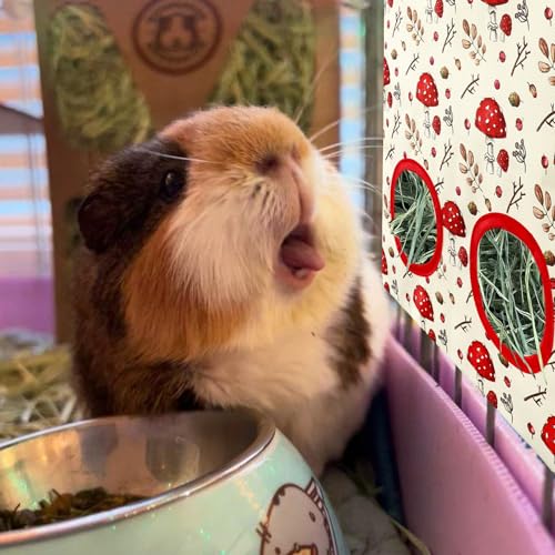 JarThenaAMCS 2 Pcs Rabbit Hay Feeder Bag with 2 Holes Mushroom Guinea Pig Hanging Hay Feeding Bag Red Storage Dispenser for Chinchilla Hamster Bunny Small Animal Pet, 11.5 x 9 Inch