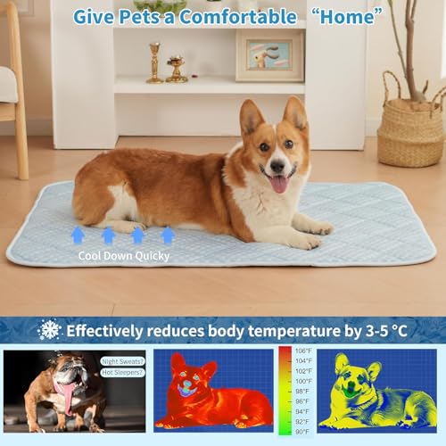 Cooling Mat for Extra Large Dogs, 51"x 37.5" Thick & Durable Dog Cooling Mat, Q-MAX>0.45, Double-Sided Cooling Pet Pad, Portable & Washable Dog Cooling Mat for Crate, Couch & Car - size: XX-Large - 51 x 37.5 Inch