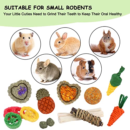 Bunny Toys, 21PCS Rabbit Chew Toys for Teeth, Guinea Pig Natural Treats | Timothy Hay Sticks chew Treats for ChinchillasRabbit, Bunny, Hamsters, Rats, chinehila, Small Animals Teeth Grinding Care - size: 21Pack-small Set