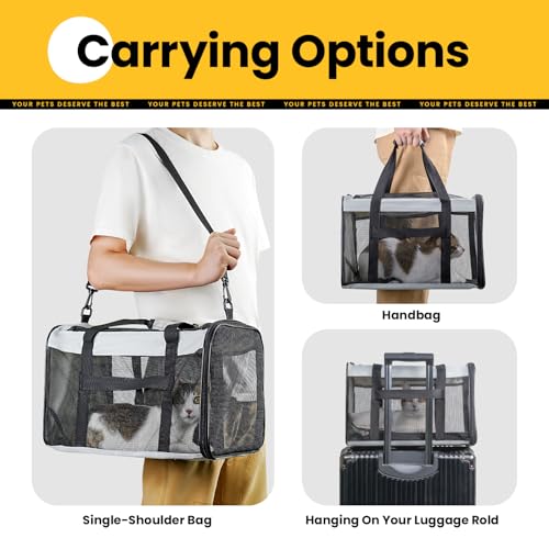 Conlun Soft-Sided Cat Carrier for Small-Medium Cats, Puppies up to 15 Lb, Airline Approved - color: Grey, size: M