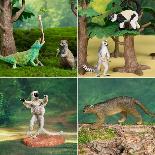 Toymany 12PCS Madagascar Animal Figurines Set, Realistic Lemur Jungle Animal Toys Set Includes Chameleon, Tortoise,Gecko,Fossa,Sifaka -Educational Forest Animals Figure Toy Collection for Kids Adults - style: Jungle Animal-1