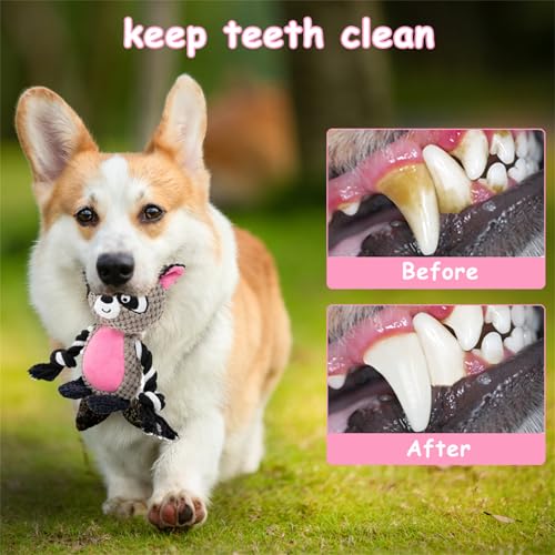 Plush Raccoon Squeaky Dog Toy,for Aggressive Chewers | Built-In Squeaker,Natural Cotton Rope Legs,Reinforced Texture For Medium Dogs,Small Breed Teething,Machine Washable - color: Raccoon