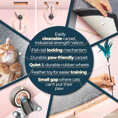 Pink 48'' XL Cat Wheel – Safe, Quiet & Stable Exercise Wheel for Large Indoor Cats up to 45 lbs – 15.7'' Extra-Wide Surface Fits 2 Cats Side by Side & Prevents Wobbling, 1-Year Warranty - color: Pink