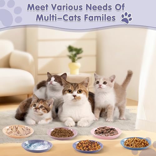 6 Pack Cat Food Bowl, Ceramic Cat Bowls, Anti Whisker Fatigue Cats Bowl Set | 5.5 Inches Shallow Wide Kitten Plates for Food and Water (CaiSe-A) - color: CaiSe-A