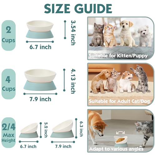 French Bulldog Food Bowl- Slanted Tilted Pug Food Water Bowl,Cat Bowl- Feeder for Frenchie/Shih Tzu/Flat Faced Small Dogs/Puppies/Cats (Green, 2 Cup) - color: Green, size: 2 Cup