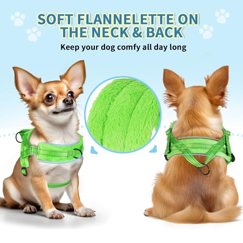 SlowTon No Pull Small Dog Harness and Leash Set with Front Clip | Soft Padded, Neck & Chest Adjustable, Lightweight, Anti-Twist, Puppy Vest Harness Pet Lead Combo for Small Medium Dog, G XS - color: Green, size: X-Small
