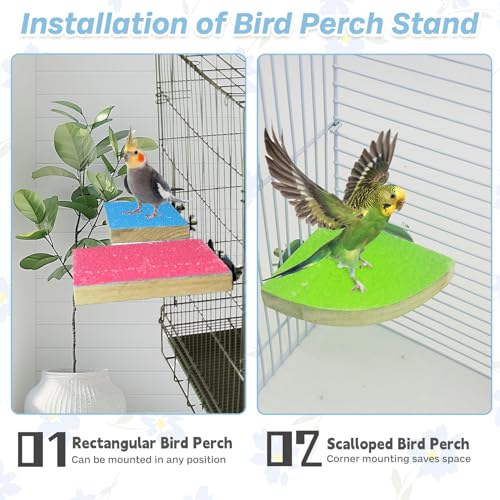 kathson Bird Perch Platform, Parrot Sanded Stand Wooden Corner Shelf Fan Shaped Cage Playground for Parrots Conures Budgies Parakeets Cockatiels Lovebirds