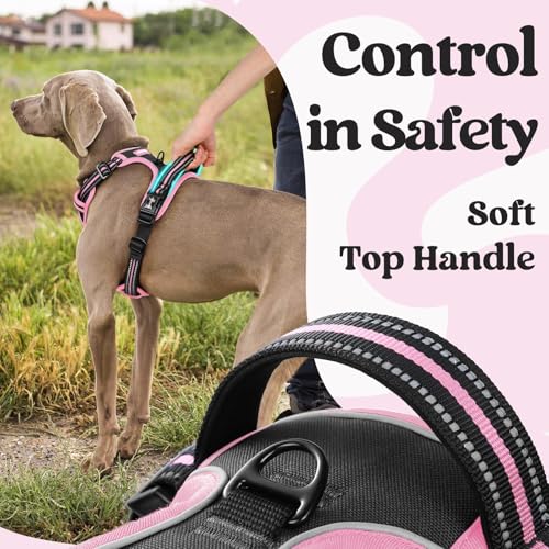 rabbitgoo Dog Harness Small Sized, Updated Easy On & Off with 3 Buckles | No Pull No Choke, Walking with 2 Clips and Handle, Adjustable Soft Reflective, Black & Pink, Small - color: Black & Pink, size: Small