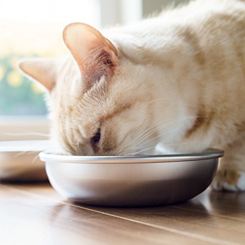 Stainless Steel Cat Bowls for Food & Water by Americat – Made in USA – Dishwasher Safe, Human Grade, Whisker Friendly Dishes (4 Bowls) - size: 4 Bowls