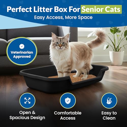 KittyGoHere Senior Cat Litter Box, Large with Jumbo Scoop, Black | Open Top Low Entrance Kitty Litter Box With Long-handle Jumbo Scoop, Lightweight Low Entry Litters Box, Durable, Made in USA - color: Black, size: Large with Scoop