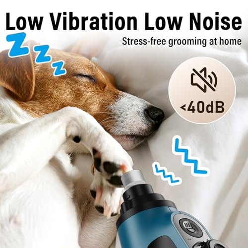 Casfuy Smart 6-Speed Dog Nail Grinder - 50% More Power Pet Nail Grinder with 2 LED Lights Quiet Rechargeable Electric Dog Nail Trimmers File Toenail Grinder for Large Medium Small Dogs & Cats (DB) - color: Dark Blue