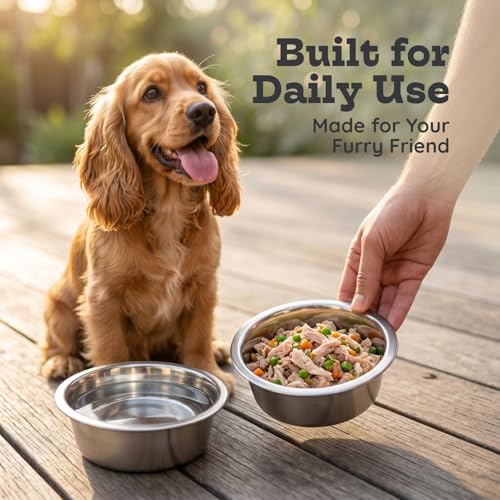 2 Pack Shallow Stainless Steel Cat & Dog Bowls, 4 Cup (32oz) Each, Heavy Duty Small Pet Only Puppy Kitten & Birds Feeder Replacement Bowl, Rust Resistant Metal Cat Dishes for Food & Water - size: 4 Cup (32oz)