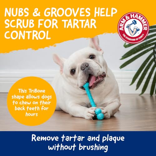 Arm & Hammer Nubbies T-Bone Dental Dog Chew Toy, Peanut Butter, 24-Pk | Durable nylon and TPR nubs clean teeth and gums, built for aggressive chewers - color: Blue T-Bone, size: 24 Count