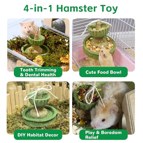Hamiledyi Guinea Pig Chew Toys Rabbit Chew Toys for Teeth Natural Hamster Treats Prevent Teeth Overgrowth for Syrian Hamsters Gerbils Rat Bunny Chinchilla Small Animals - style: Style A