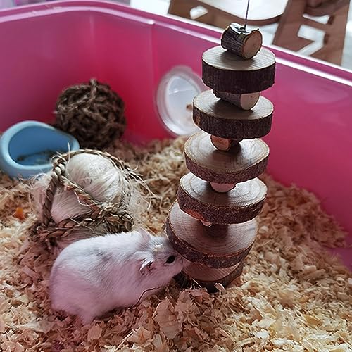 LWINGFLYER 6pcs Small Animal Chews Toy Natural Apple Wood Block Cage Hanging Molars Treats Snack for Hamsters Rabbits Bunny Bird Parrots Chinchilla Guinea Pig Gerbils Squirrels - color: 6pcs Natural Apple Wood