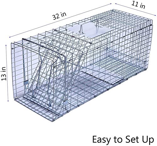 Faicuk Large Collapsible Humane Live Animal Cage Trap for Raccoon, Opossum, Stray Cat, Rabbit, Groundhog and Armadillo 32 x 11 x 13 Inch - size: 32" x 11" x 13"