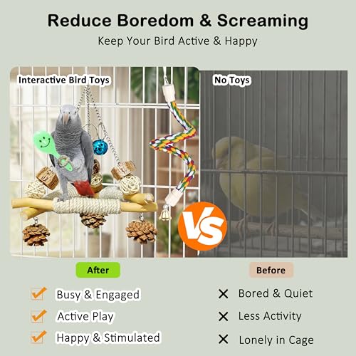 3 in 1 Bird Swing and Climbing Rope Set Triangle Wooden Perch with Bells and Natural Chew Toys Flexible Cotton Rope Ladder and Maraca Toy for Cockatiels Conures and Budgies