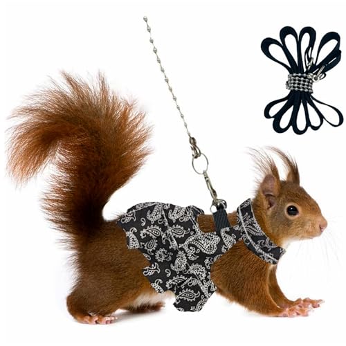 Guinea Pig Harness Skirt Clothes and Leash, Adjustable Hamster Ferret Harness and Leash Set, No Pull Walking Vest for Ferrets, Chinchillas and Similar Small Animals (Black S - color: Black, size: S