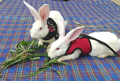 Rabbit Bunny Kitten Harness No Pull Cat Leash Stylish Vest Harness for Small Animal Adjustable Soft Breathable Walking Harness Set (RED, L) - color: Red, size: L