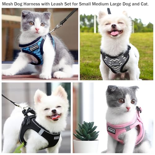 Dog Harness with Leash Set, Step-in Adjustable Puppy Vest, Navy Blue XXS | Lightweight Breathable Air Mesh, Night Safety Reflective, No Pull Puppy Vest Harnesses for Small Medium Large Dogs, Cats - color: Navy Blue, size: XXS(Chest:10"-12")