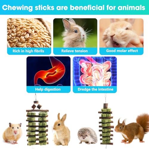 WDEFUN Natural Apple Wood Clover Cake Teeth Grinding Toy String - Rabbit Snack Chewing Toy, Safe and Durable Pet Teeth Grinding Rod, Caring for Dental Health - size: 2 Pcs Large Grinding Toy String