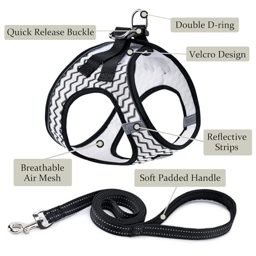 Dog Harness with Leash Set, Step-in Adjustable Puppy Vest, White Stripe XXS | Lightweight Breathable Air Mesh, Night Safety Reflective, No Pull Puppy Vest Harnesses for Small Medium Large Dogs, Cats - color: White Stripe, size: XXS(Chest:10"-12")
