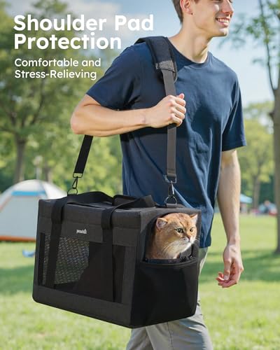 Pecute Cat Carrier, Portable Dog Carrier with Stable Structure, Dark Grey | Larger Space, 360° Ventilation & Comfort, Escape-Proof, for Travel / Car Trips / Vet Visits, Fits Cats up to 11 lbs - color: Dark Grey