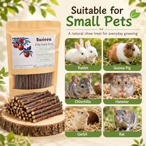 Premium Natural Apple Sticks - 100g/3.52 OZ MINI Trial Pack - Perfect for 1 Pet, Molar Chew Treats for Rabbits Chinchillas Guinea Pigs Hamsters Small Animals - size: 3.6 Ounce (Pack of 1)
