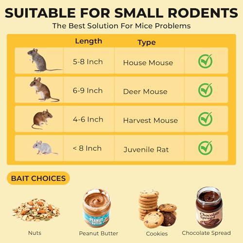 4 Pack Humane Mouse Trap for Indoor No Kill Live Mice Traps for House Mice | 7.13x2.3x2.7 In Catch and Release Mouse Traps for Small Mice, Kids & Pets Friendly, Reusable Mousetrap with Cleaning Brushes - size: 4 Pack