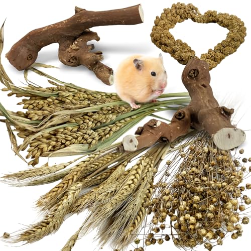 Tfwadmx 2PCS Wood Hamster Climbing Branches & Small Animal Natural Ear of Grain Spray Hamster Bedding Habitat Decor Rat Exercise Toys Treat Cereal Grain for Hamsters Gerbils