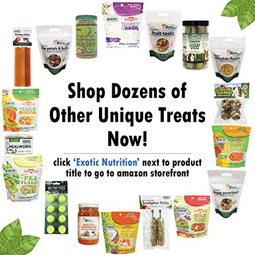Tropical Trio - Healthy Natural Mixed Dried Fruit Treat - Papaya, Coconut, Pineapple - for Sugar Gliders, Squirrels, Prairie Dogs, Skunks, Marmosets, Parrots, Birds, Rats, Small Pets (4.5 oz.)