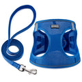 Dog Harness with Leash Set, Step-in Adjustable Puppy Pet Vest, Blue XXS | Lightweight Breathable Air Mesh, Night Safety Reflective, No Pull Puppy Vest Harnesses for Small Medium Large Dogs, Cats - color: Blue, size: XXS(Chest:10"-12")