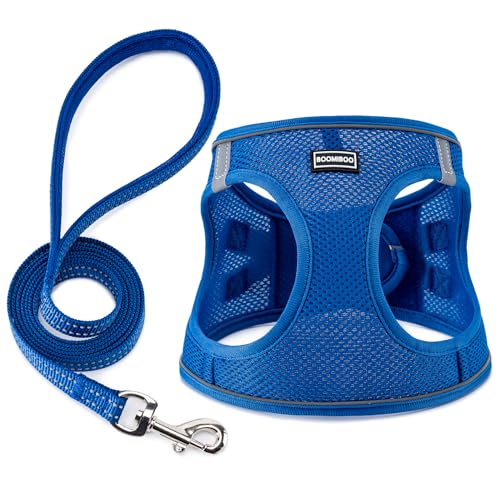 Dog Harness with Leash Set, Step-in Adjustable Puppy Pet Vest, Blue XXS | Lightweight Breathable Air Mesh, Night Safety Reflective, No Pull Puppy Vest Harnesses for Small Medium Large Dogs, Cats - color: Blue, size: XXS(Chest:10"-12")